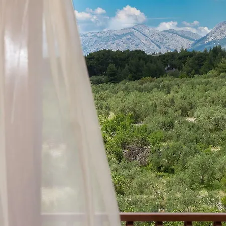 Daire Baskovic Promajna