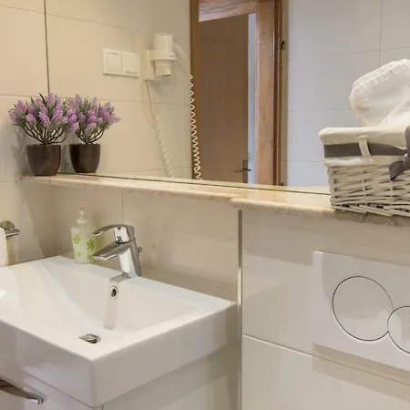 Baskovic Проманья