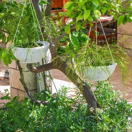 Апартаменты Baskovic Проманья