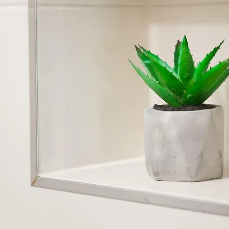 Apartmán Baskovic Promajna