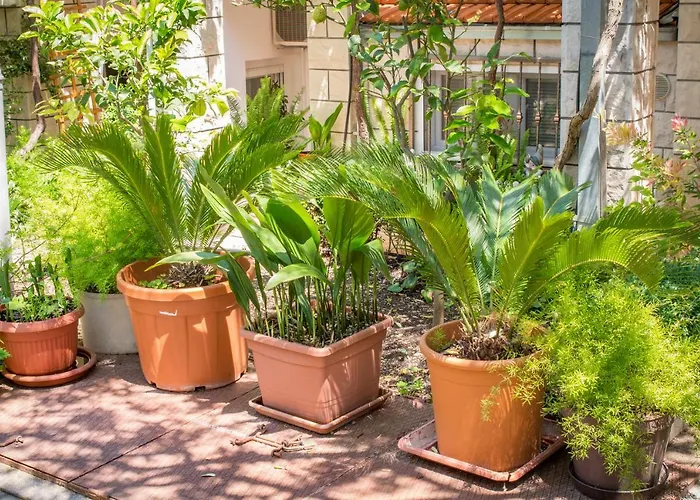 Baskovic Apartamento