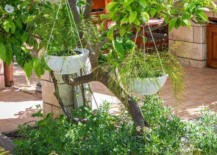 Appartement Baskovic Promajna