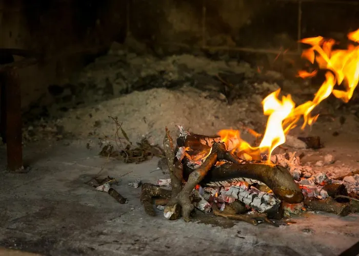 Baskovic Apartamento