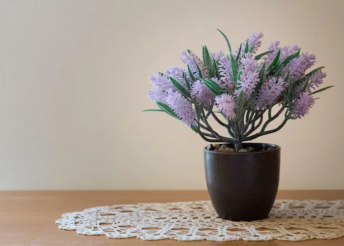 Apartamento Baskovic *